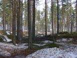 2004
