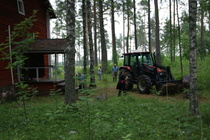 Museon siivoustalkoot 25.6.