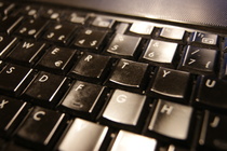 Lehdentekoa syys- ja lokakuussa