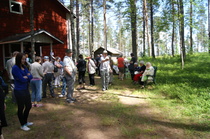 Hevosenkengänheittoa...