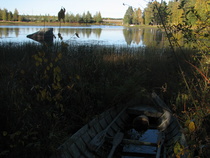 2007