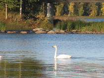 2007
